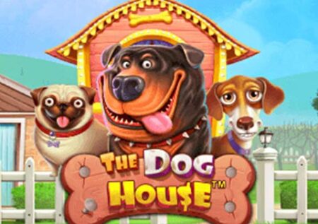 The Dog House