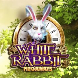 White Rabbit