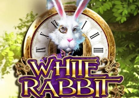 White Rabbit